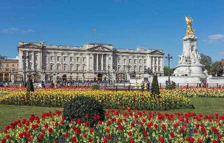 Лондонский зоопарк и Букингемский дворец: лучшие места для посещения в столице Великобритании