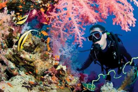Тропическое путешествие: дайвинг и приключения на рифах