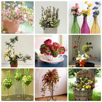 Творчество с растениями: создайте собственные цветочные композиции.