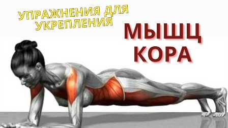 5 упражнений для укрепления мышц кора тела