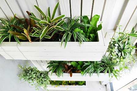 Как создать вертикальный сад на балконе или террасе