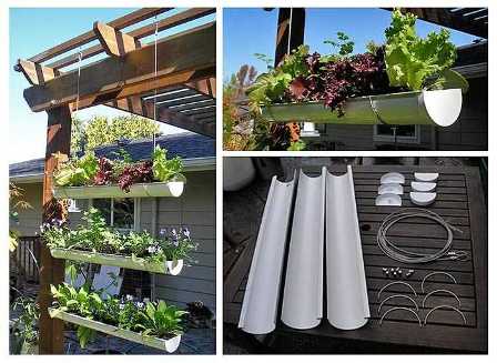 Как создать вертикальный сад на балконе или во дворе.