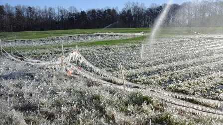 Как защитить сад от заморозков и непогоды