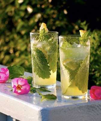 Летние лимонады и прохладительные напитки: свежесть и вкус в одном стакане