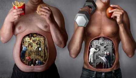 Метаболизм и его влияние на здоровье и вес