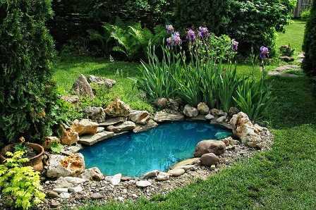 Отражение природы в вашем саду: сад с декоративным прудом.