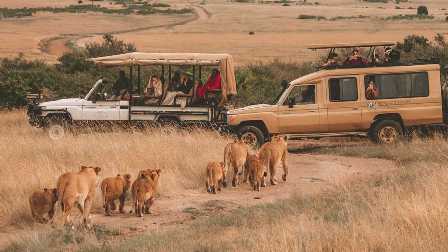 Путешествие по земле сафари: национальные парки Кении и Танзании