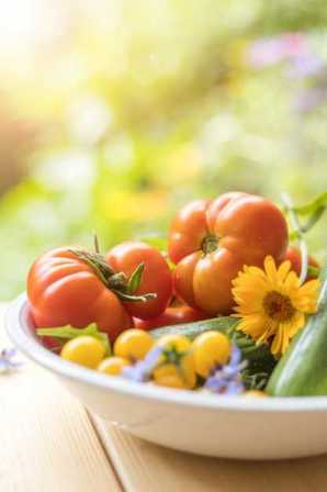 Растите свежие овощи в минимальном пространстве: городское садоводство для начинающих.