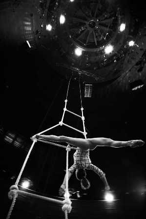Цирк и его загадки: за кулисами московских цирковых представлений