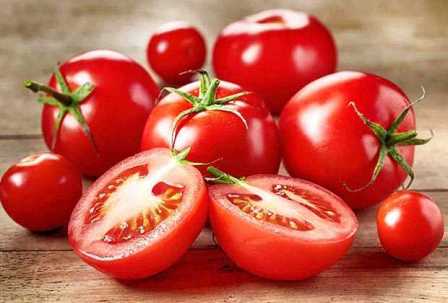 Вся правда о выращивании помидоров: мифы и реальность.