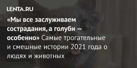 Забавные истории о домашних животных