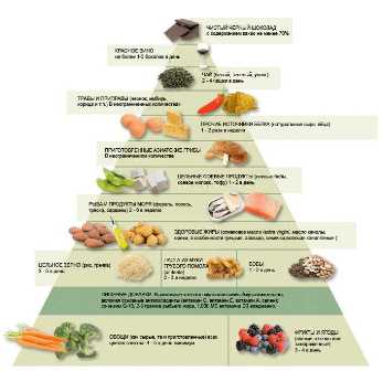 Здоровое питание: как правильно выбирать продукты