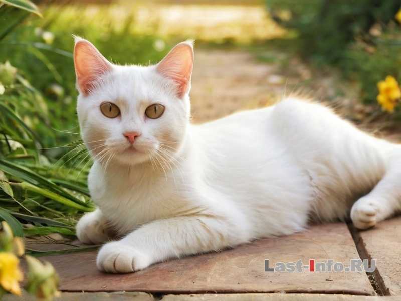 Проблемы со здоровьем