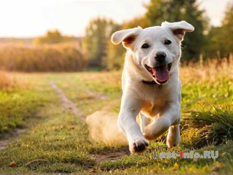 Как избежать проблем с питанием