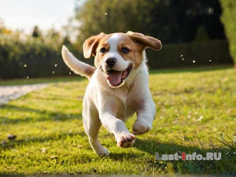 Непонимание undefinedохраны</em