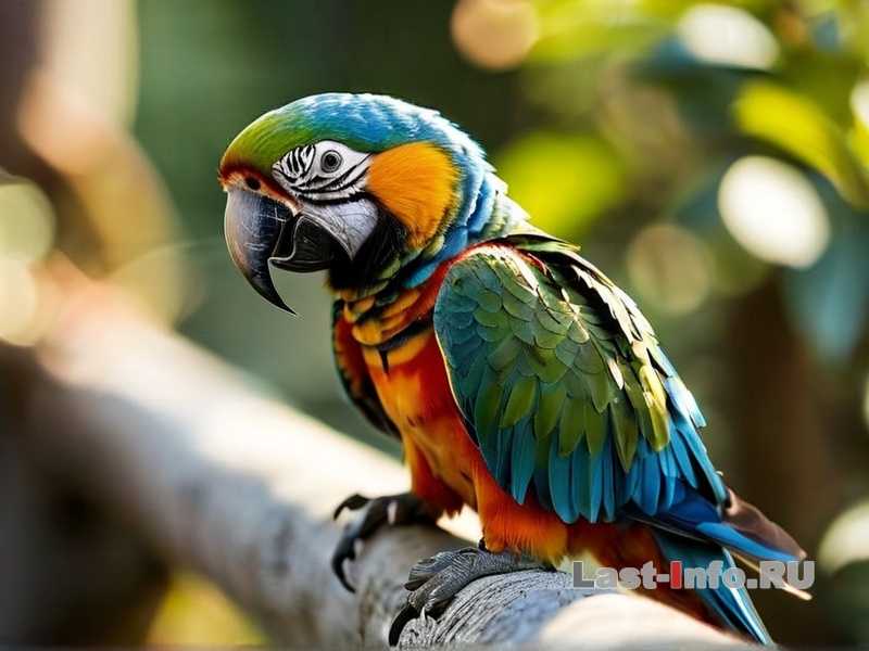 Попугай, который раньше радовал вас своим болтливым поведением, вдруг перестал разговаривать – это может быть тревожным сигналом для владельца. Существует множество причин, по которым ваш пернатый друг может утратить способность или желание воспроизводить звуки. Это могут быть как физиологические, так и психологические факторы.