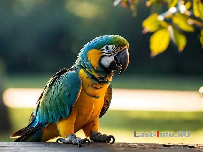 Вредные последствия кофе и чая