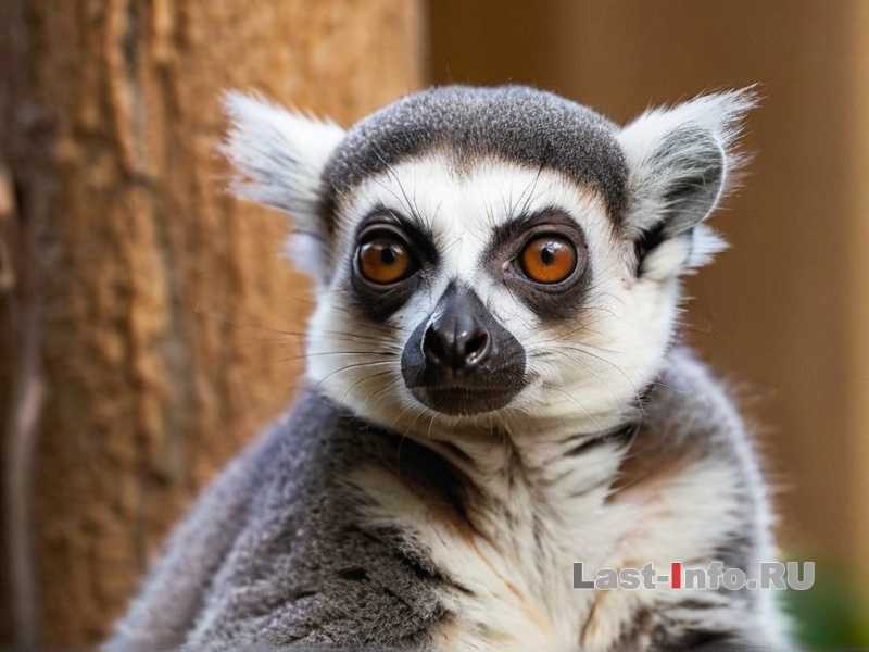 Звуковые устройства