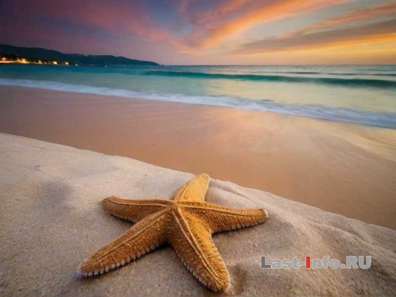 Кемпинг в Австралии: пустыня и тропики