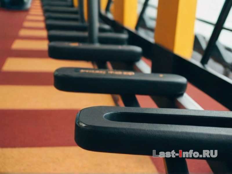 Как спорт и здоровье связаны с профилактикой болезней