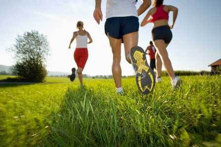 Физическая активность и ее влияние на здоровье