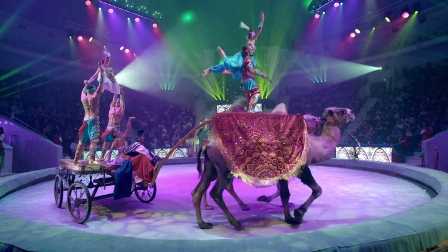 Цирк на Царицынской: вечер, наполненный шутками и атмосферой праздника